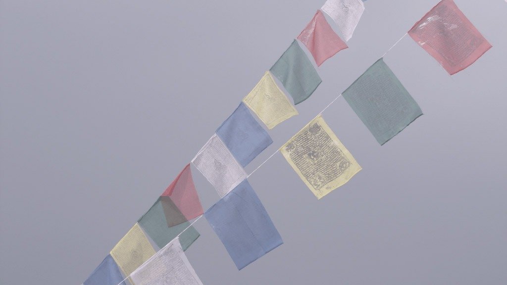 Das Leben ist kein Ponyhof - Manifestieren - Alexandra Mangold Coaching