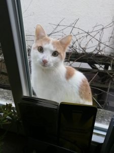 Alexandra Mangold Coaching Blog Toms Blick